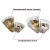 Cassida CoinMax